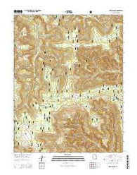 Kigalia Point Utah Current topographic map, 1:24000 scale, 7.5 X 7.5 Minute, Year 2014