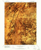 Lake Ridge Utah Historical topographic map, 1:24000 scale, 7.5 X 7.5 Minute, Year 1968