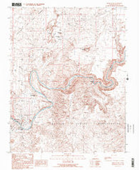 Mexican Hat Utah Historical topographic map, 1:24000 scale, 7.5 X 7.5 Minute, Year 1989