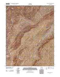 Mexican Hat SE Utah Historical topographic map, 1:24000 scale, 7.5 X 7.5 Minute, Year 2010
