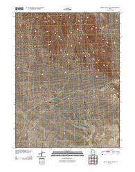 Middle Range South Utah Historical topographic map, 1:24000 scale, 7.5 X 7.5 Minute, Year 2010