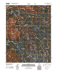 Mount Peale Utah Historical topographic map, 1:24000 scale, 7.5 X 7.5 Minute, Year 2011