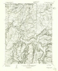 Mt. Waas 1 SW Utah Historical topographic map, 1:24000 scale, 7.5 X 7.5 Minute, Year 1954