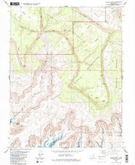 Navajo Point Utah Historical topographic map, 1:24000 scale, 7.5 X 7.5 Minute, Year 1985