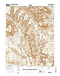 Nipple Butte Utah Current topographic map, 1:24000 scale, 7.5 X 7.5 Minute, Year 2014