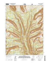 Oweep Creek Utah Current topographic map, 1:24000 scale, 7.5 X 7.5 Minute, Year 2014