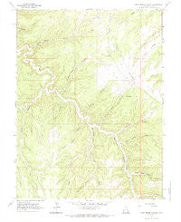 Pine Spring Canyon Utah Historical topographic map, 1:24000 scale, 7.5 X 7.5 Minute, Year 1966