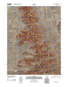 Pinnacle Pass Utah Historical topographic map, 1:24000 scale, 7.5 X 7.5 Minute, Year 2010