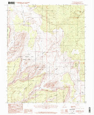 Pioneer Mesa Utah Historical topographic map, 1:24000 scale, 7.5 X 7.5 Minute, Year 1987