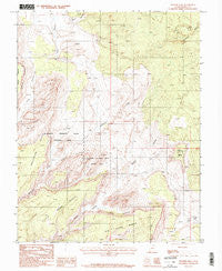 Pioneer Mesa Utah Historical topographic map, 1:24000 scale, 7.5 X 7.5 Minute, Year 1987