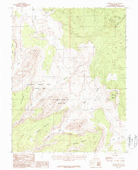 Pioneer Mesa Utah Historical topographic map, 1:24000 scale, 7.5 X 7.5 Minute, Year 1987