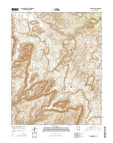 Pioneer Mesa Utah Current topographic map, 1:24000 scale, 7.5 X 7.5 Minute, Year 2014
