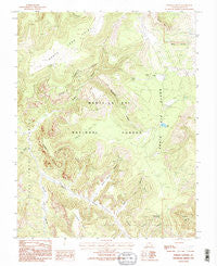 Poison Canyon Utah Historical topographic map, 1:24000 scale, 7.5 X 7.5 Minute, Year 1985