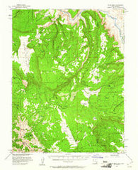 Polar Mesa Utah Historical topographic map, 1:62500 scale, 15 X 15 Minute, Year 1954