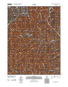 Preacher Canyon Utah Historical topographic map, 1:24000 scale, 7.5 X 7.5 Minute, Year 2011