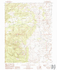 Raggy Canyon Utah Historical topographic map, 1:24000 scale, 7.5 X 7.5 Minute, Year 1988