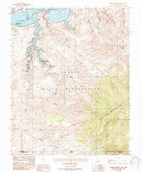 Rainbow Bridge Utah Historical topographic map, 1:24000 scale, 7.5 X 7.5 Minute, Year 1987