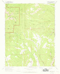 Rainbow Point Utah Historical topographic map, 1:24000 scale, 7.5 X 7.5 Minute, Year 1966