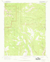 Rainbow Point Utah Historical topographic map, 1:24000 scale, 7.5 X 7.5 Minute, Year 1966