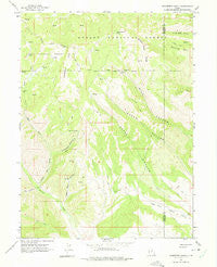 Raspberry Knoll Utah Historical topographic map, 1:24000 scale, 7.5 X 7.5 Minute, Year 1962
