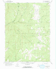 Rays Valley Utah Historical topographic map, 1:24000 scale, 7.5 X 7.5 Minute, Year 1967