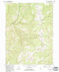 Rays Valley Utah Historical topographic map, 1:24000 scale, 7.5 X 7.5 Minute, Year 1994