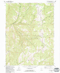 Rays Valley Utah Historical topographic map, 1:24000 scale, 7.5 X 7.5 Minute, Year 1994