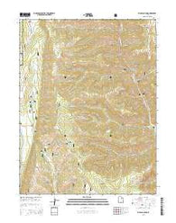 Rilda Canyon Utah Current topographic map, 1:24000 scale, 7.5 X 7.5 Minute, Year 2014