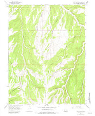 Seep Canyon Utah Historical topographic map, 1:24000 scale, 7.5 X 7.5 Minute, Year 1966