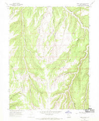 Seep Canyon Utah Historical topographic map, 1:24000 scale, 7.5 X 7.5 Minute, Year 1966