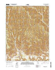 Sego Canyon Utah Current topographic map, 1:24000 scale, 7.5 X 7.5 Minute, Year 2014