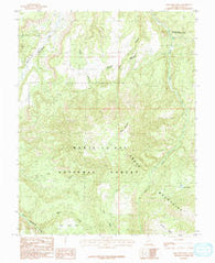 Shay Mountain Utah Historical topographic map, 1:24000 scale, 7.5 X 7.5 Minute, Year 1985