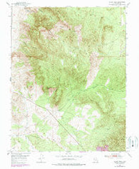 Silver Peak Utah Historical topographic map, 1:24000 scale, 7.5 X 7.5 Minute, Year 1950