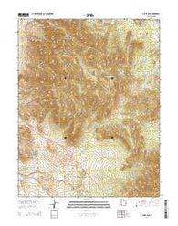 Silver Peak Utah Current topographic map, 1:24000 scale, 7.5 X 7.5 Minute, Year 2014