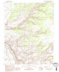 Slickhorn Canyon East Utah Historical topographic map, 1:24000 scale, 7.5 X 7.5 Minute, Year 1989