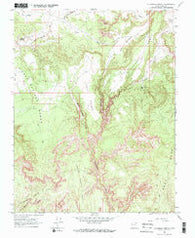 Slickrock Bench Utah Historical topographic map, 1:24000 scale, 7.5 X 7.5 Minute, Year 1964