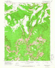 Slickrock Bench Utah Historical topographic map, 1:24000 scale, 7.5 X 7.5 Minute, Year 1964