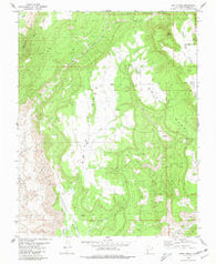 Smith Mesa Utah Historical topographic map, 1:24000 scale, 7.5 X 7.5 Minute, Year 1980