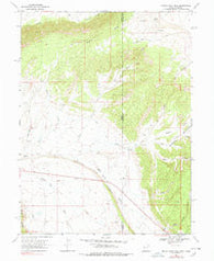 Snake John Reef Utah Historical topographic map, 1:24000 scale, 7.5 X 7.5 Minute, Year 1968