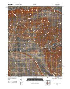 Snake John Reef Utah Historical topographic map, 1:24000 scale, 7.5 X 7.5 Minute, Year 2011