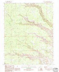 Snow Flat Spring Cave Utah Historical topographic map, 1:24000 scale, 7.5 X 7.5 Minute, Year 1989