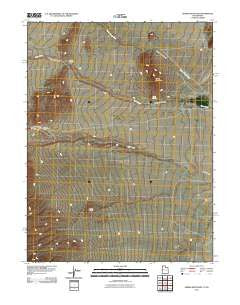 Spring Mountain Utah Historical topographic map, 1:24000 scale, 7.5 X 7.5 Minute, Year 2011