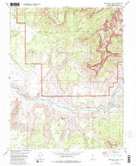 Springdale West Utah Historical topographic map, 1:24000 scale, 7.5 X 7.5 Minute, Year 1980