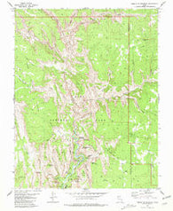 Temple of Sinawava Utah Historical topographic map, 1:24000 scale, 7.5 X 7.5 Minute, Year 1980
