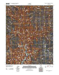 Temple of Sinawava Utah Historical topographic map, 1:24000 scale, 7.5 X 7.5 Minute, Year 2011