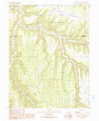 Tenmile Canyon North Utah Historical topographic map, 1:24000 scale, 7.5 X 7.5 Minute, Year 1991