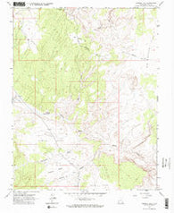 Tenmile Flat Utah Historical topographic map, 1:24000 scale, 7.5 X 7.5 Minute, Year 1964