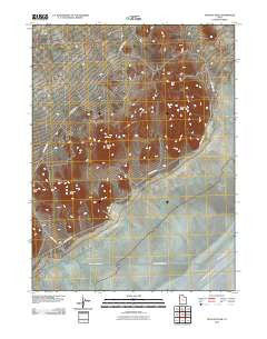 Tetzlaff Peak Utah Historical topographic map, 1:24000 scale, 7.5 X 7.5 Minute, Year 2010