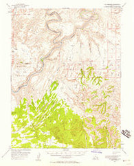 The Needles Utah Historical topographic map, 1:62500 scale, 15 X 15 Minute, Year 1953
