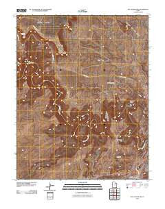 The Goosenecks Utah Historical topographic map, 1:24000 scale, 7.5 X 7.5 Minute, Year 2010